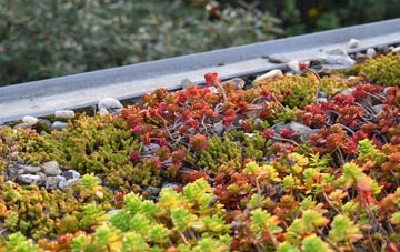the cost of Layer Marney green roof installation