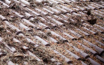 Layer Marney roof cleaning companies